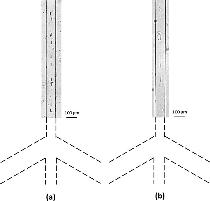 FIG. 9.