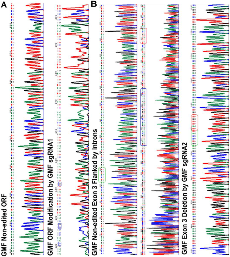 Figure 6A: