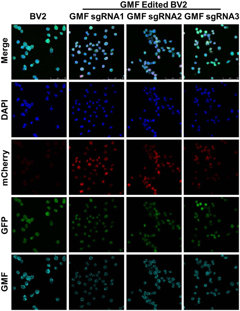 Figure 4: