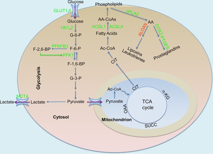 FIG 3