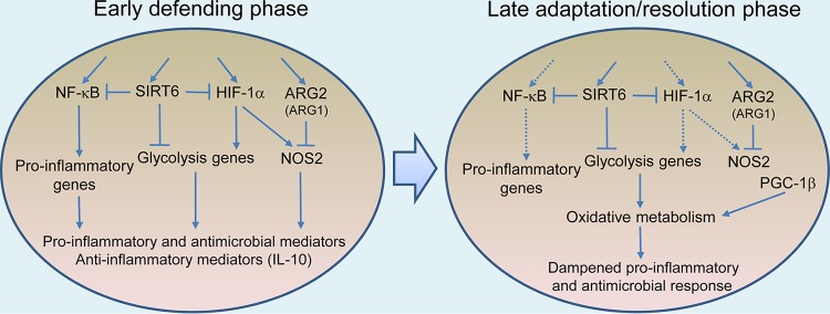 FIG 4