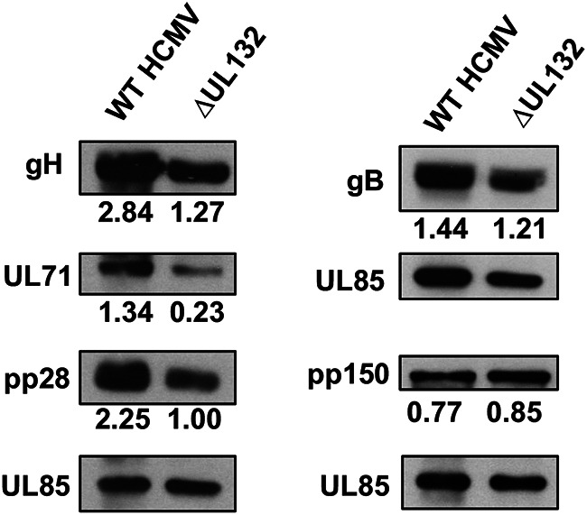 FIG 3