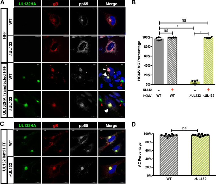 FIG 6