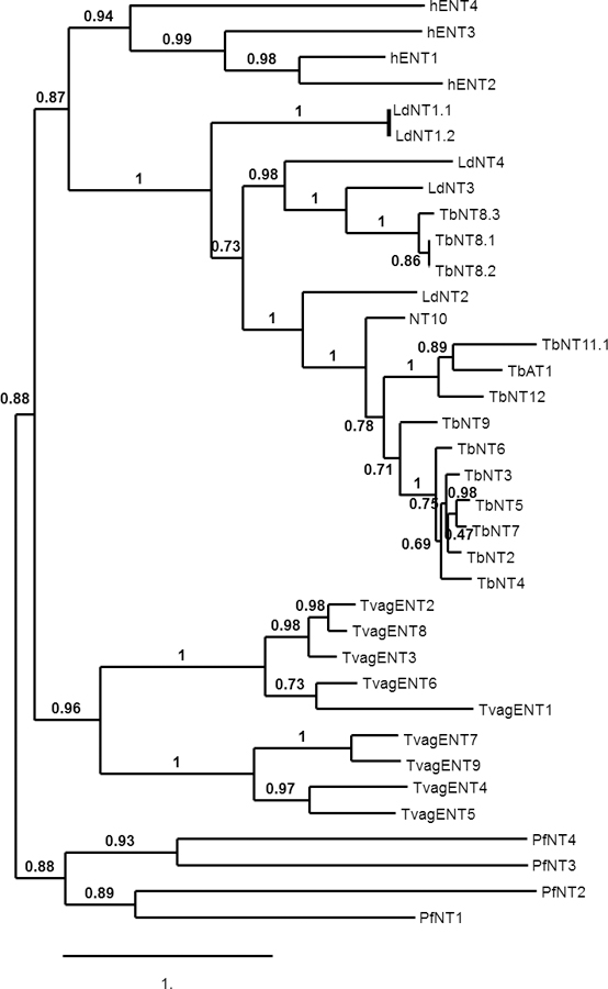 Figure 7.