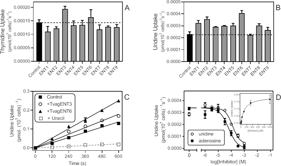 Figure 11.