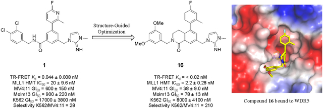 graphic file with name nihms-1066405-f0001.jpg