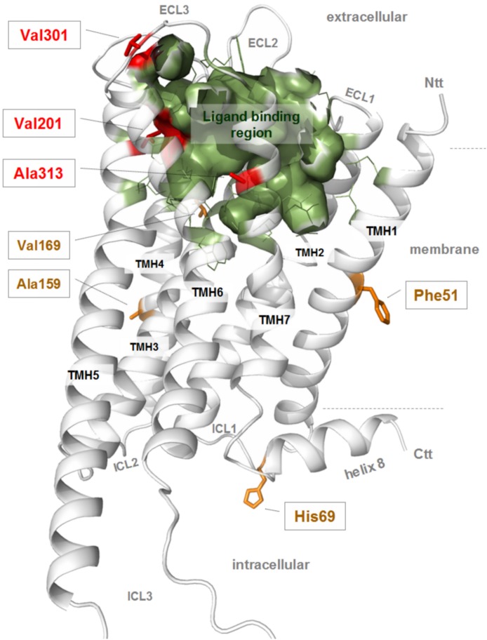 Fig. 8.