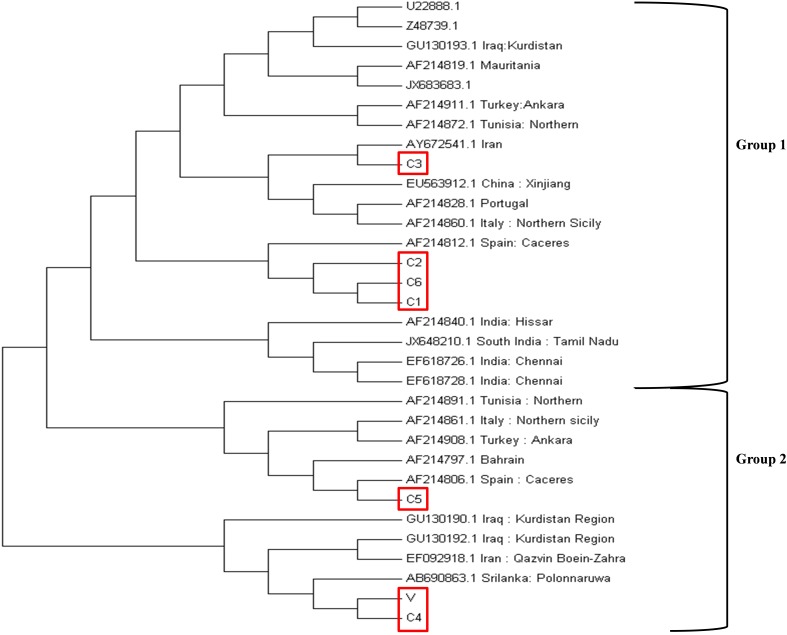 FIGURE 4