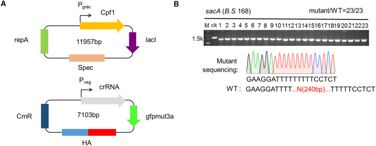 FIGURE 3