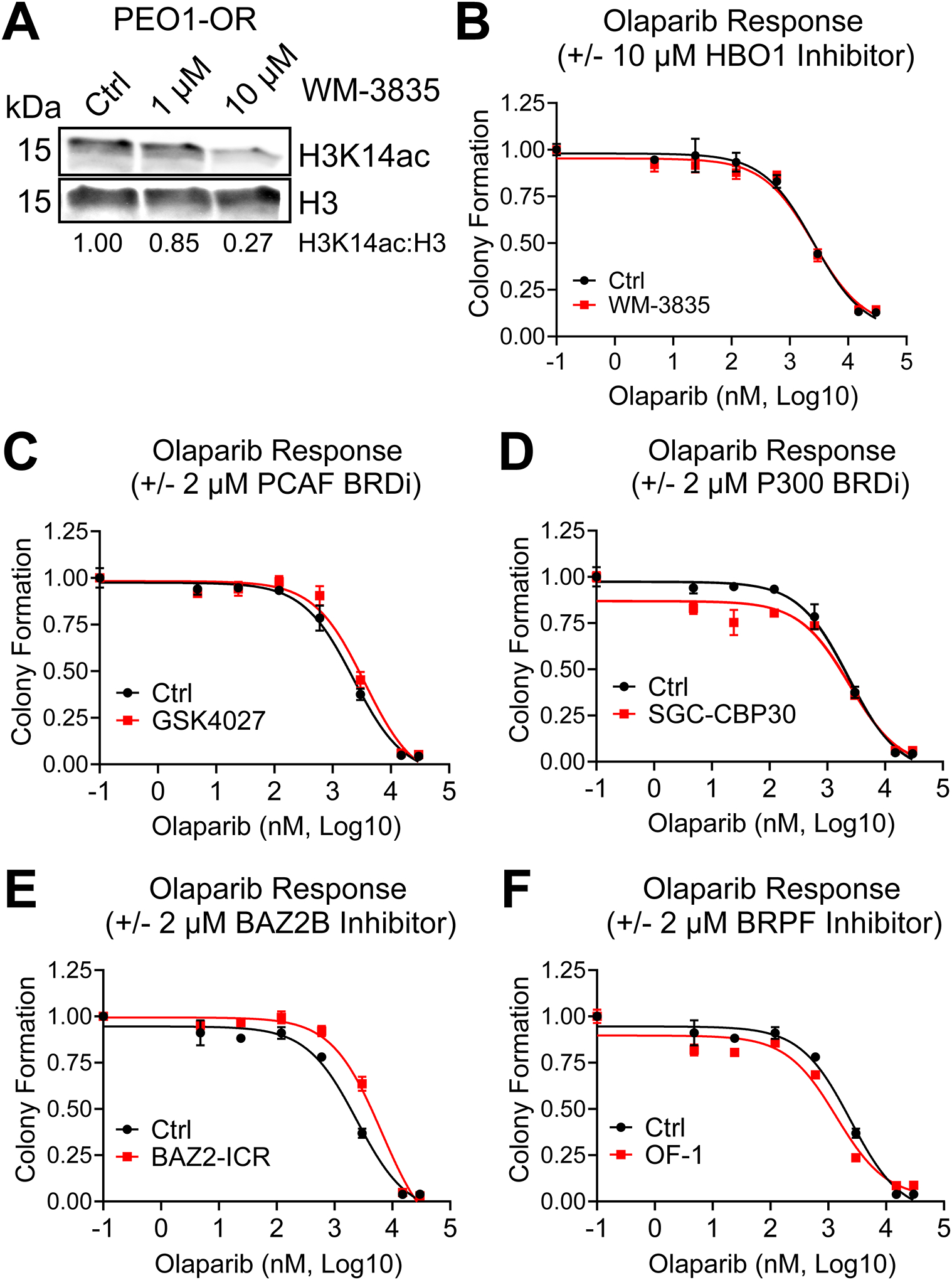 FIG 3.