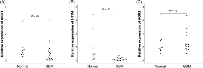 FIGURE 2