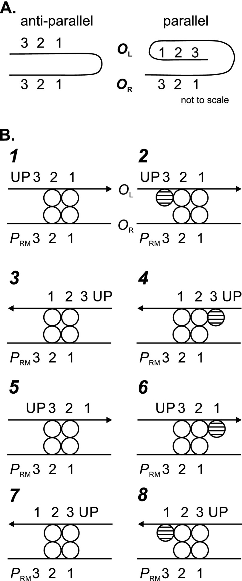 Fig 5