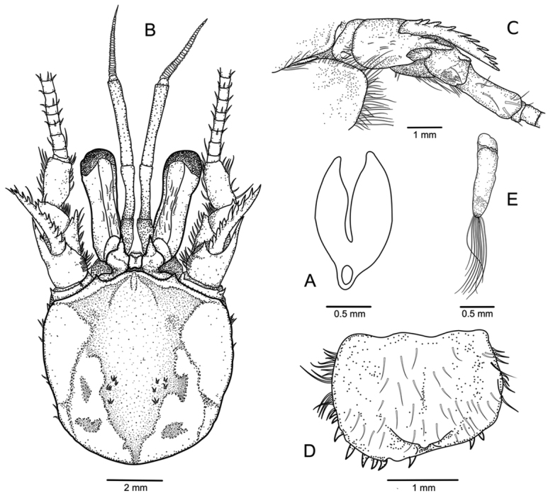 Figure 2.