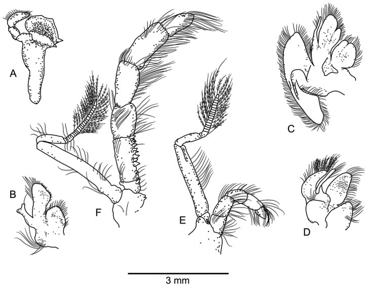 Figure 3.