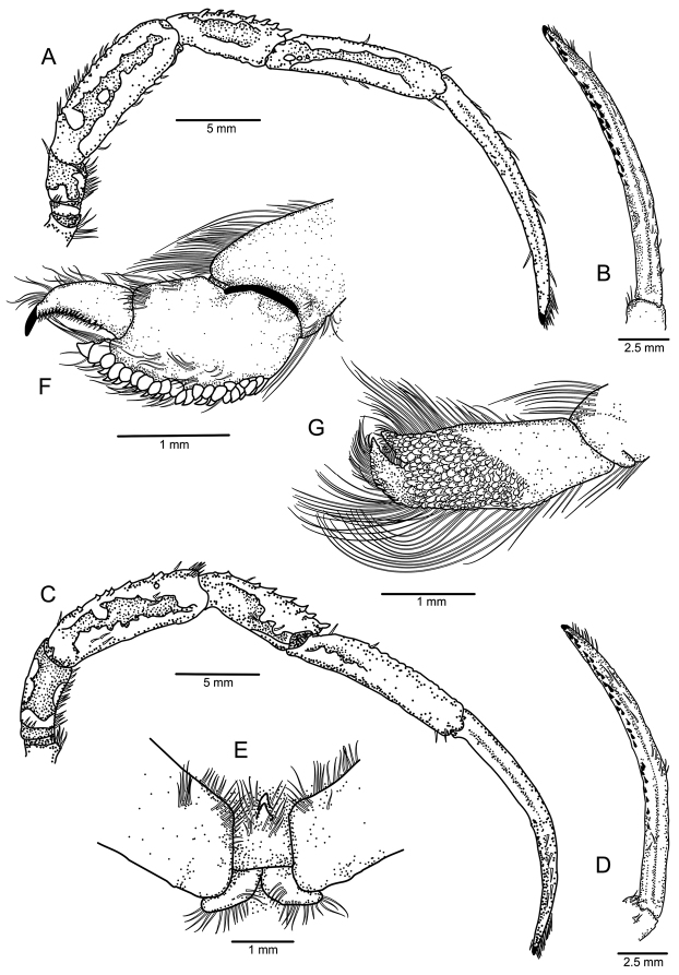 Figure 5.