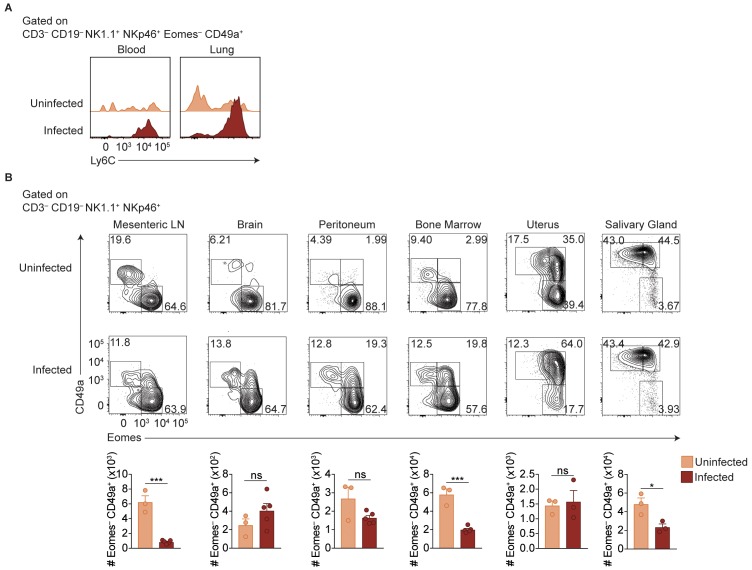 Figure 3—figure supplement 1.