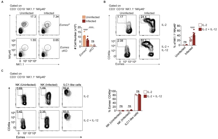 Figure 7—figure supplement 1.