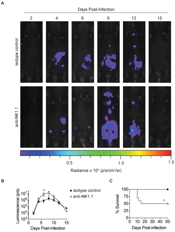 Figure 1—figure supplement 1.