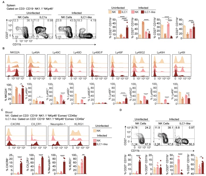 Figure 5—figure supplement 1.