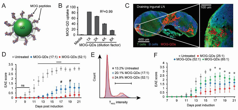 Figure 19.