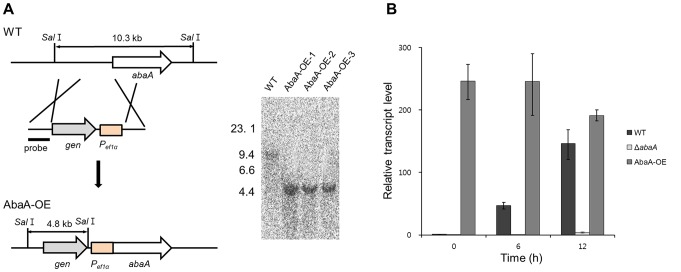 Figure 6