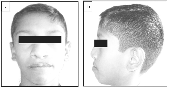 Fig. 7