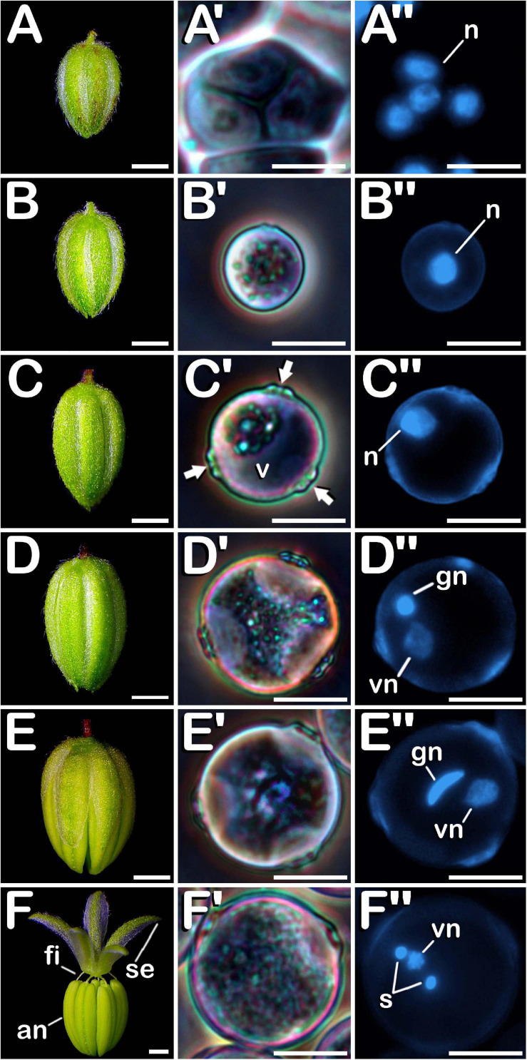 FIGURE 3