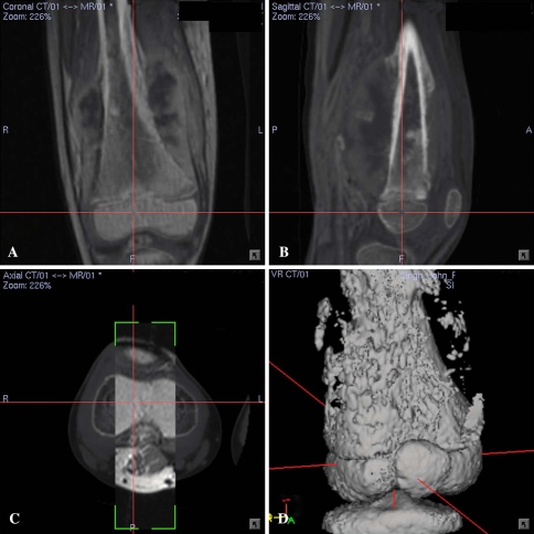 Fig. 1A–D