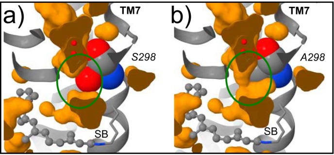 FIGURE 3.