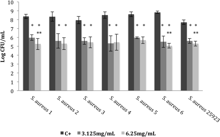 Fig. 1