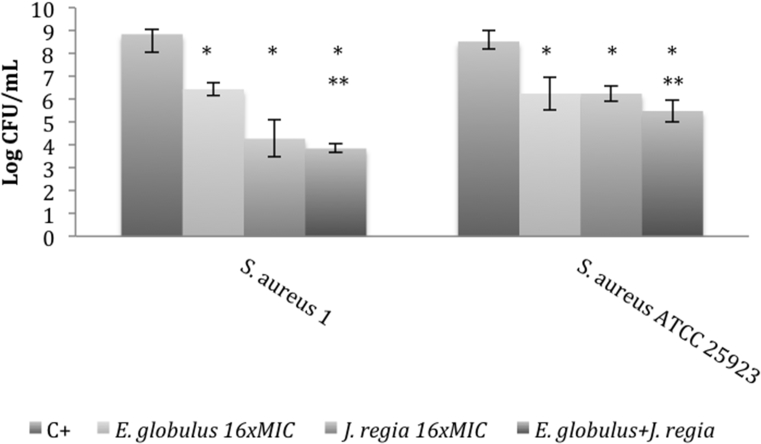 Fig. 3