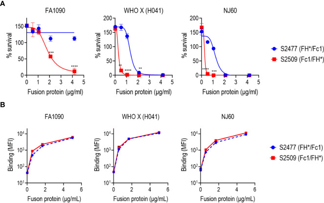 Figure 2