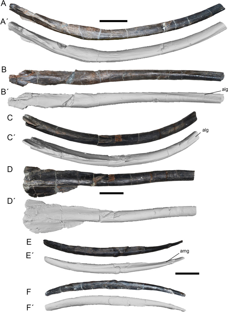 Figure 12