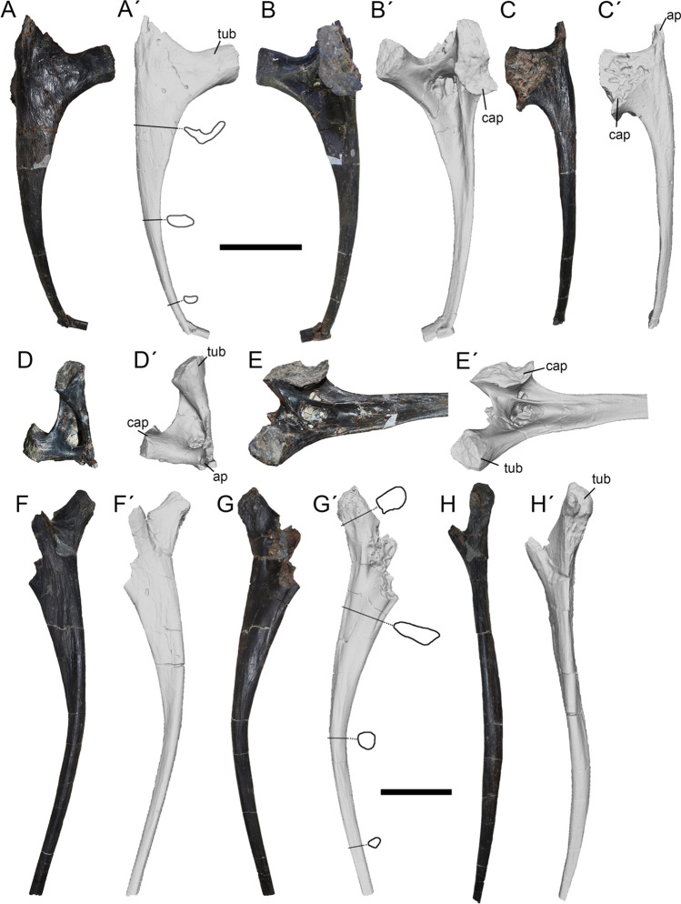 Figure 10