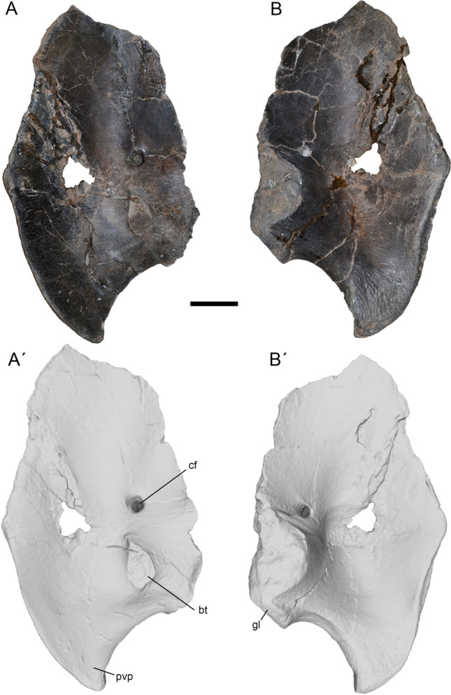 Figure 13