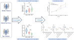 Graphical Abstract