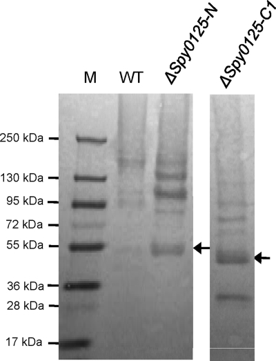 FIG. 7.