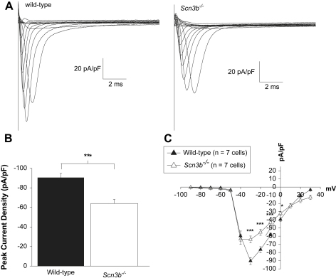 Fig. 7