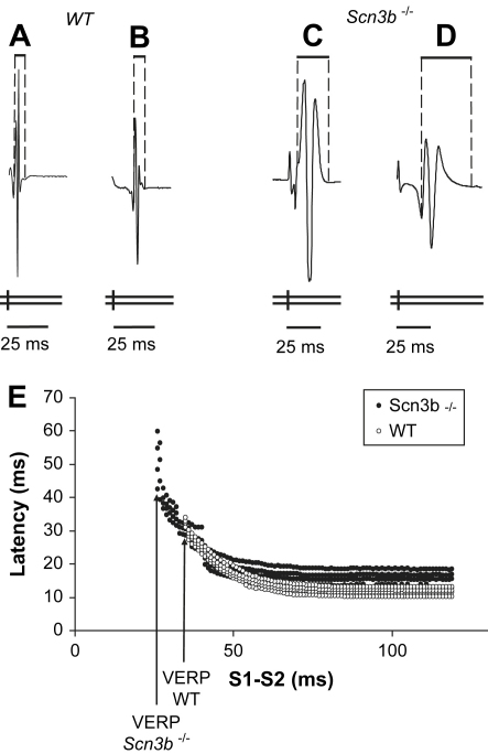 Fig. 4