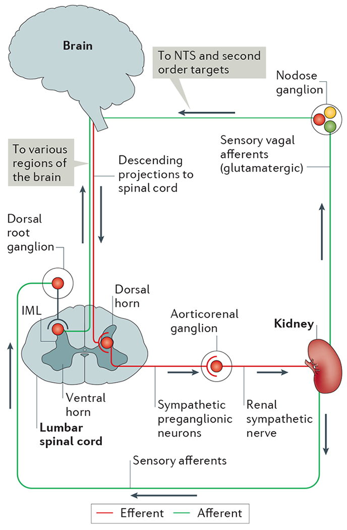 Figure 2 |