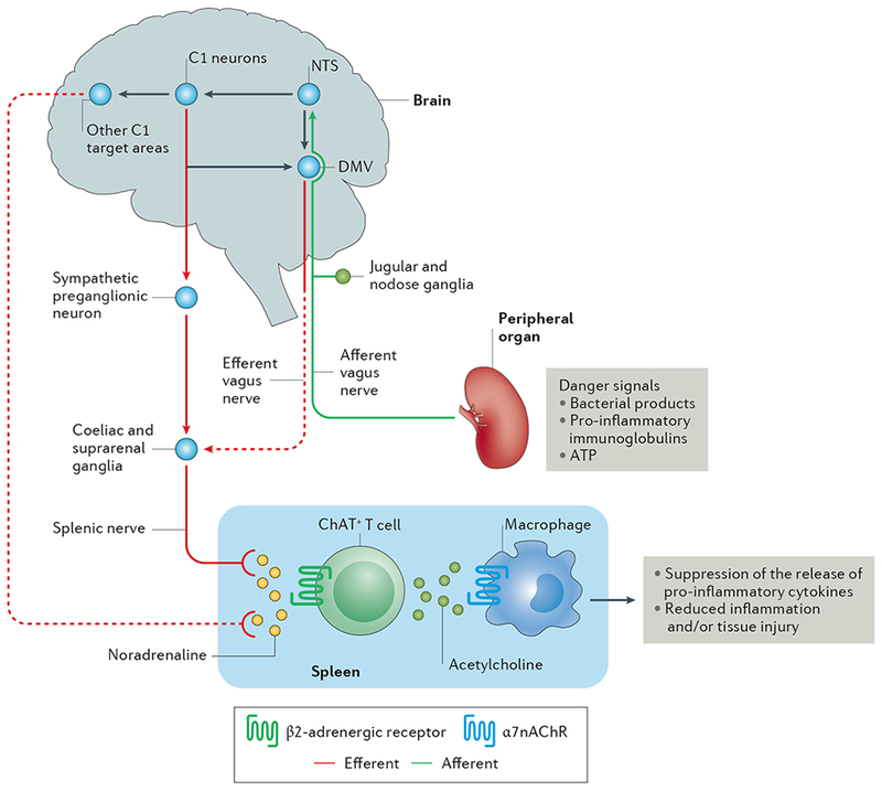 Figure 1 |