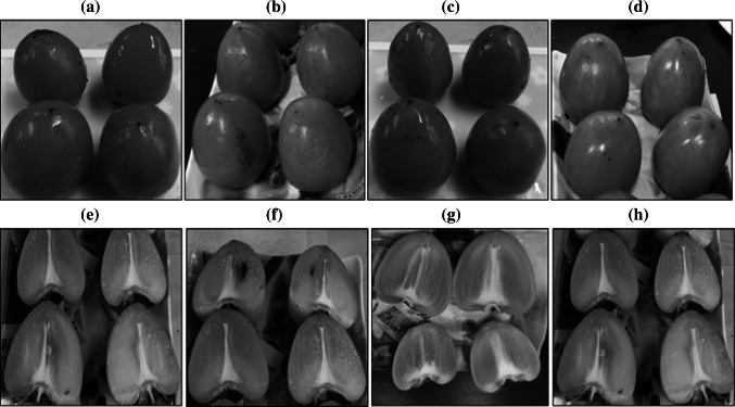Fig. 3