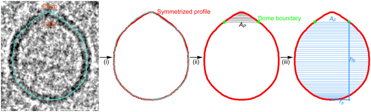 Fig. 2.