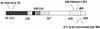 FIG. 11.