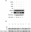 FIG. 8.