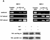 FIG. 10.