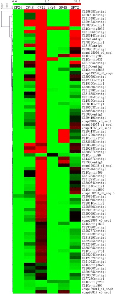 Fig. 7