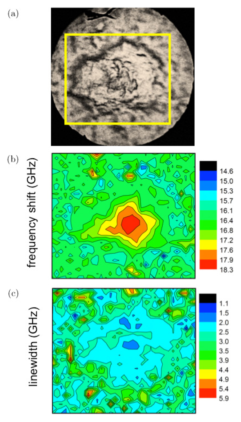 Fig. 8