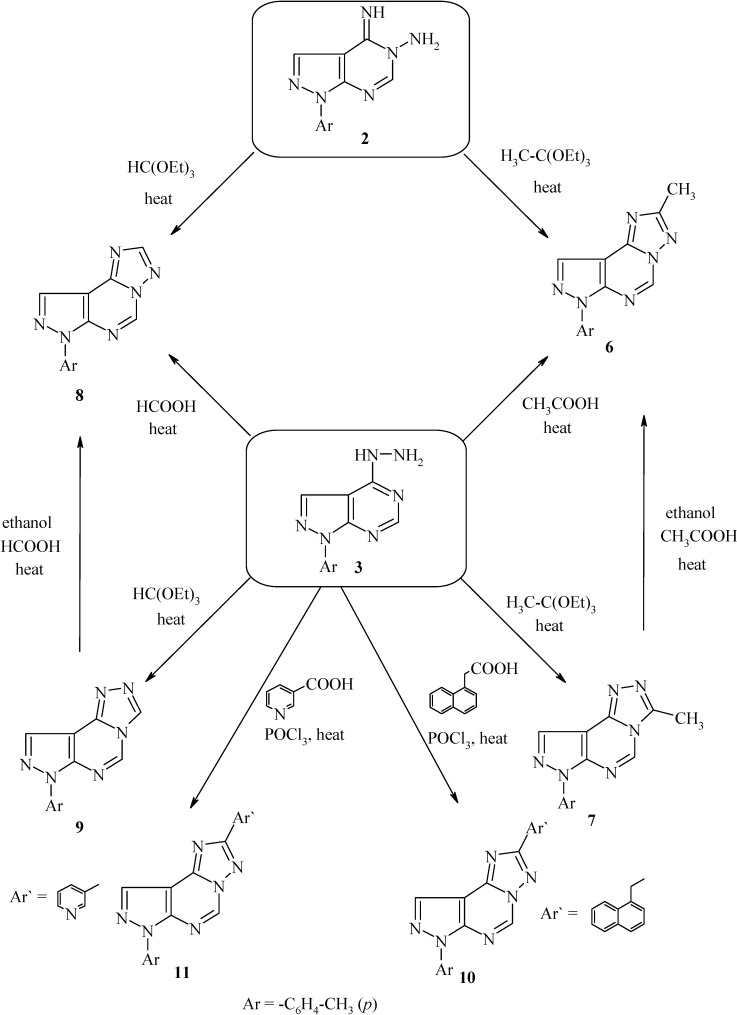 Scheme 3