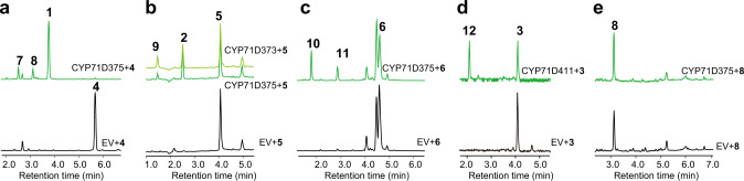 Fig. 5